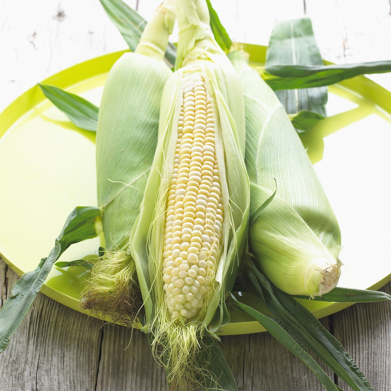 corn, maize, vegetable-356110.jpg